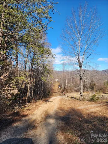 a view of outdoor space with green space