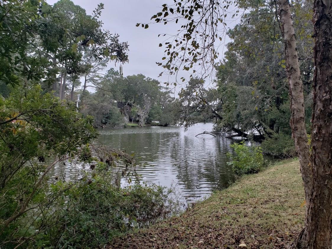 685 Lk Pt Road Mount Pleasant, SC 29464 - Photo 45 of 52 20181114_153652