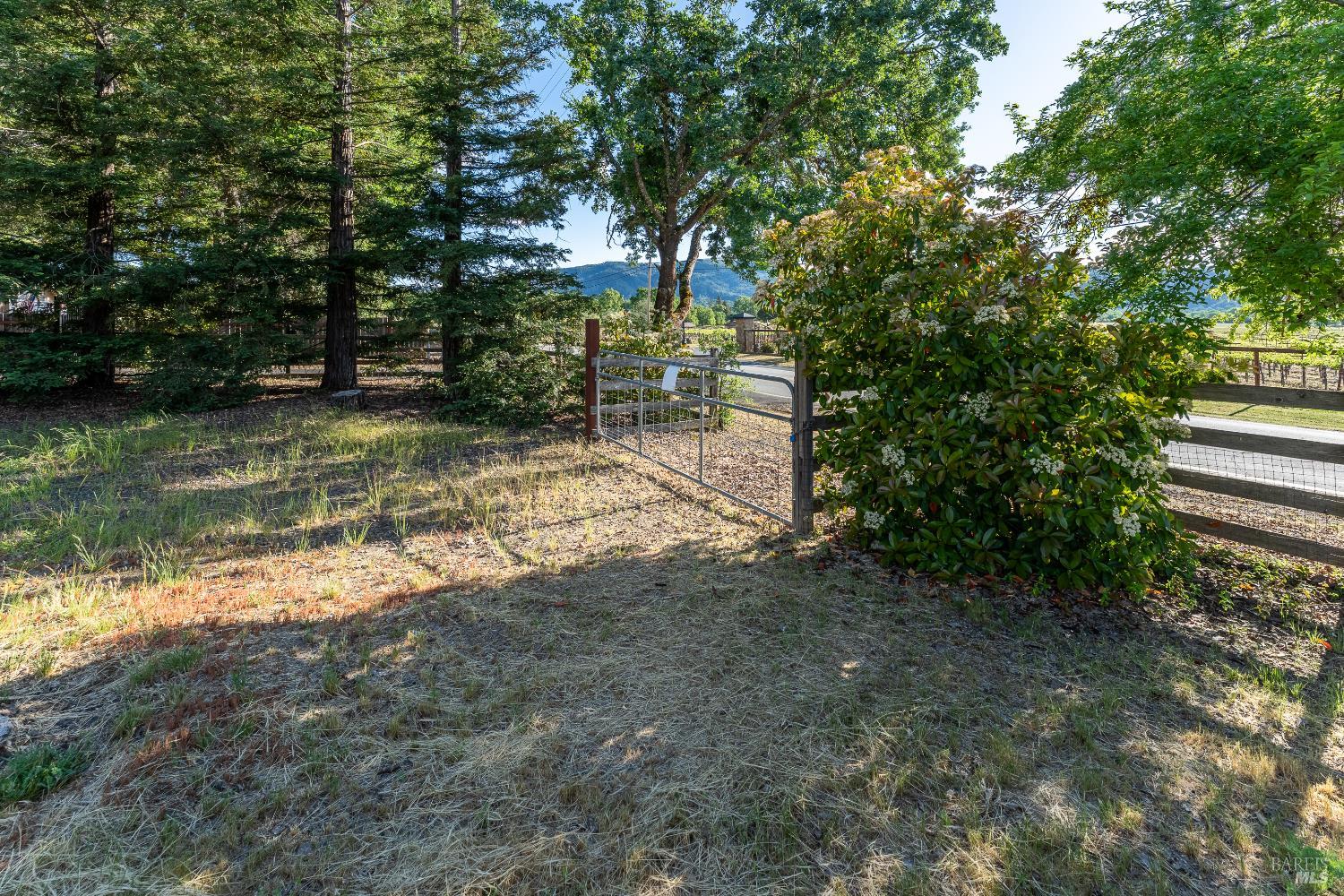 1991 Fern Canyon Road Ukiah, CA 95482 - Photo 6 of 19 a view of a yard with plants and trees