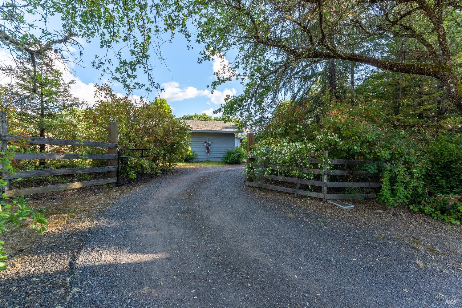 1991 Fern Canyon Road Ukiah, CA 95482 - Photo 10 of 19 a view of a field with plants and trees