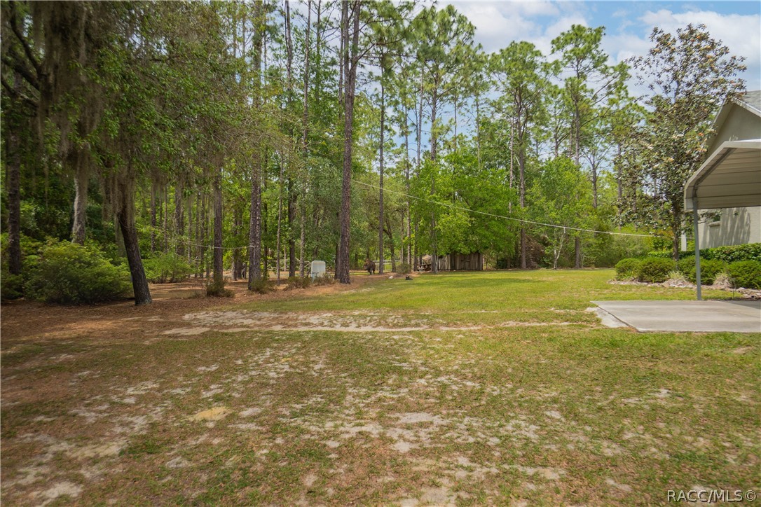 6479 West Candier Court Dunnellon, FL 34433 - Photo 48 of 71 Gallery Image 48