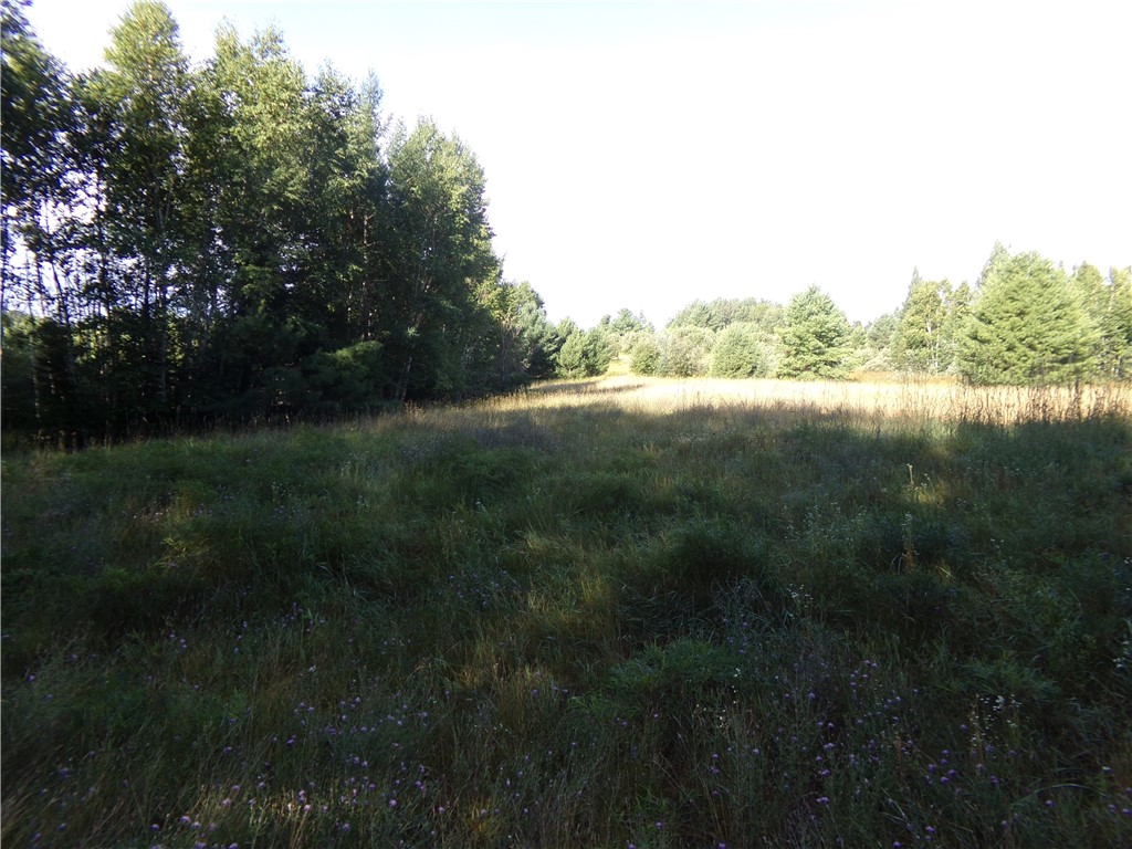 7581 South Marsik Road Lake Nebagamon, WI 54849 - Photo 1 of 1 Gallery Image 1