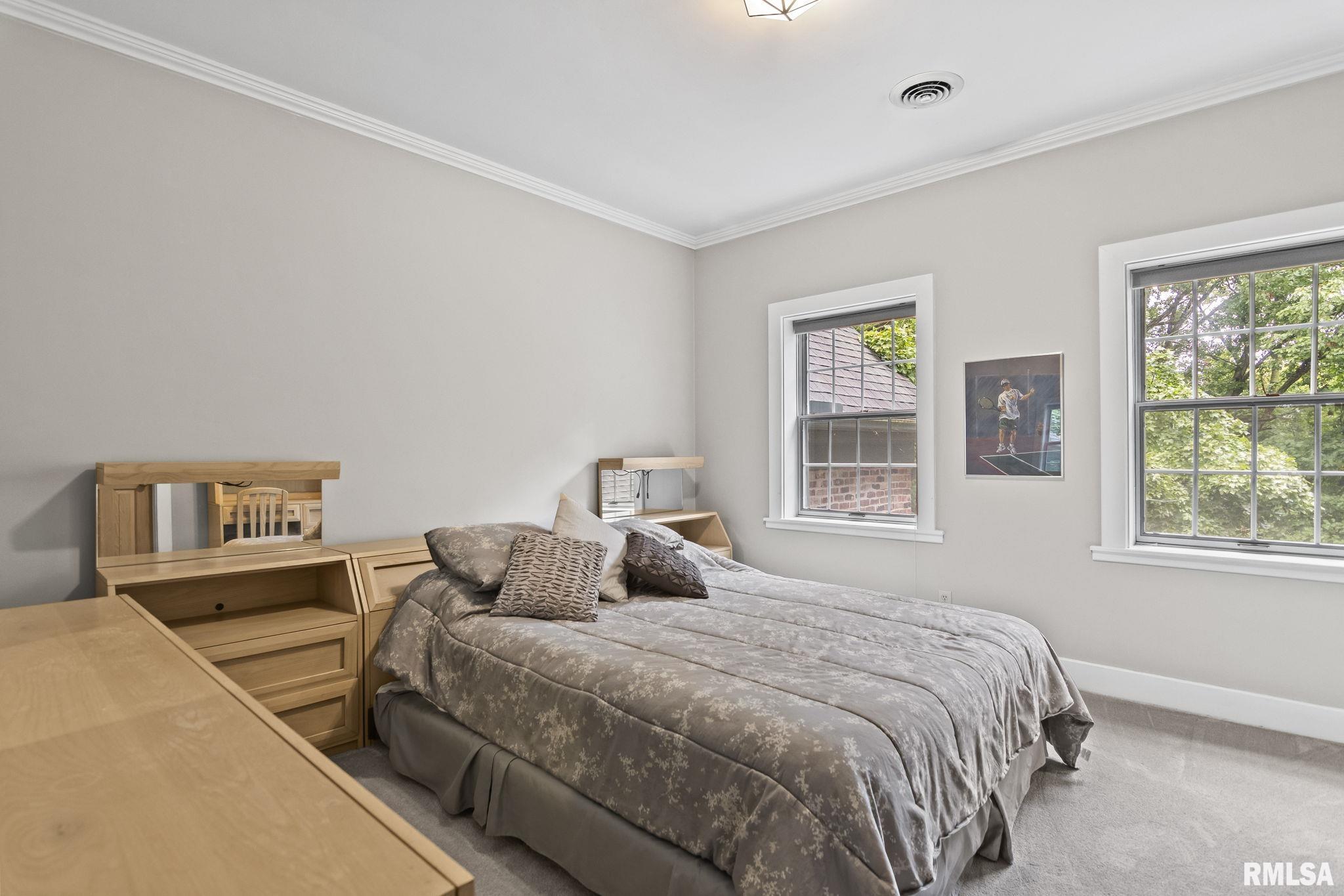 843 Coventry Point Springfield, IL 62702 - Photo 49 of 99