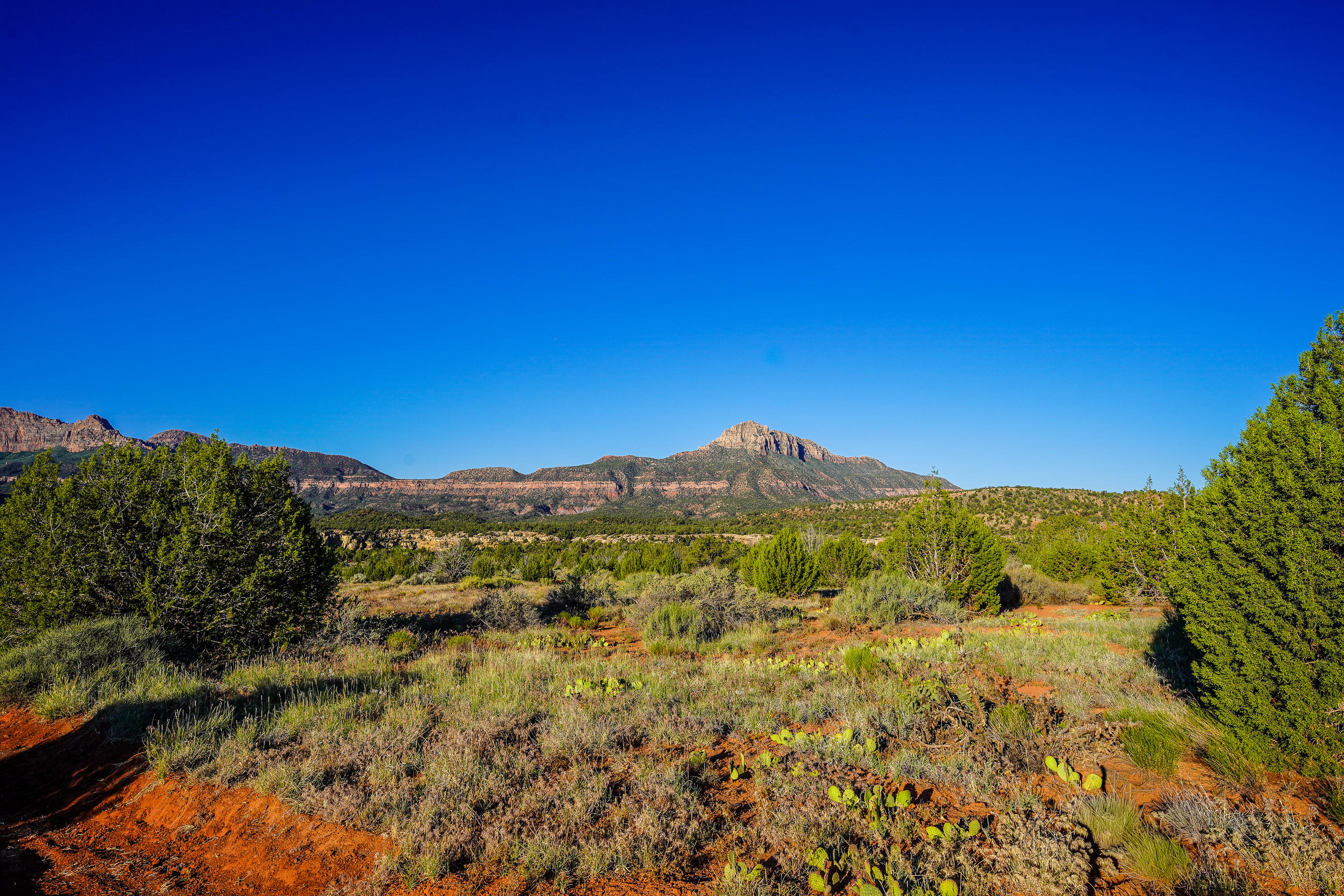 Carmel Road Rockville, UT 84763 - Photo 51 of 53 20260512-DSC03072