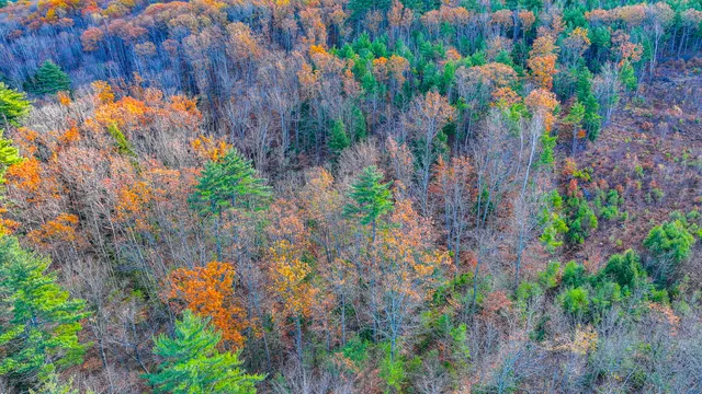 $110,000 | Tbd Main Street, Brownfield, ME 04010