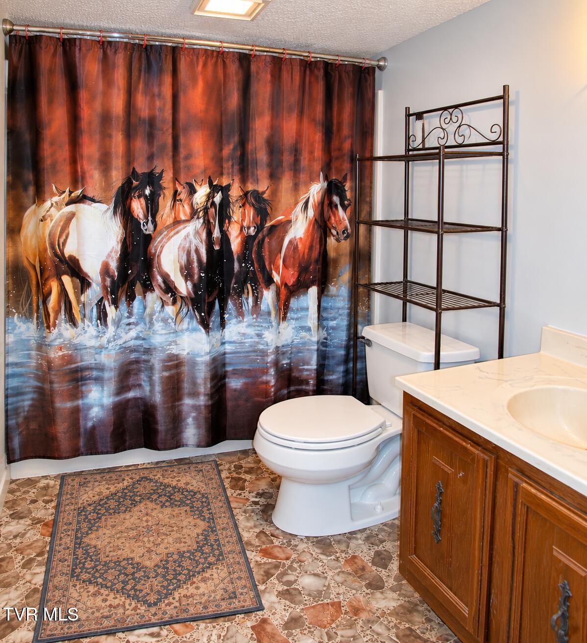 710 Colvert Road Mosheim, TN 37818 - Photo 14 of 57 Bathroom