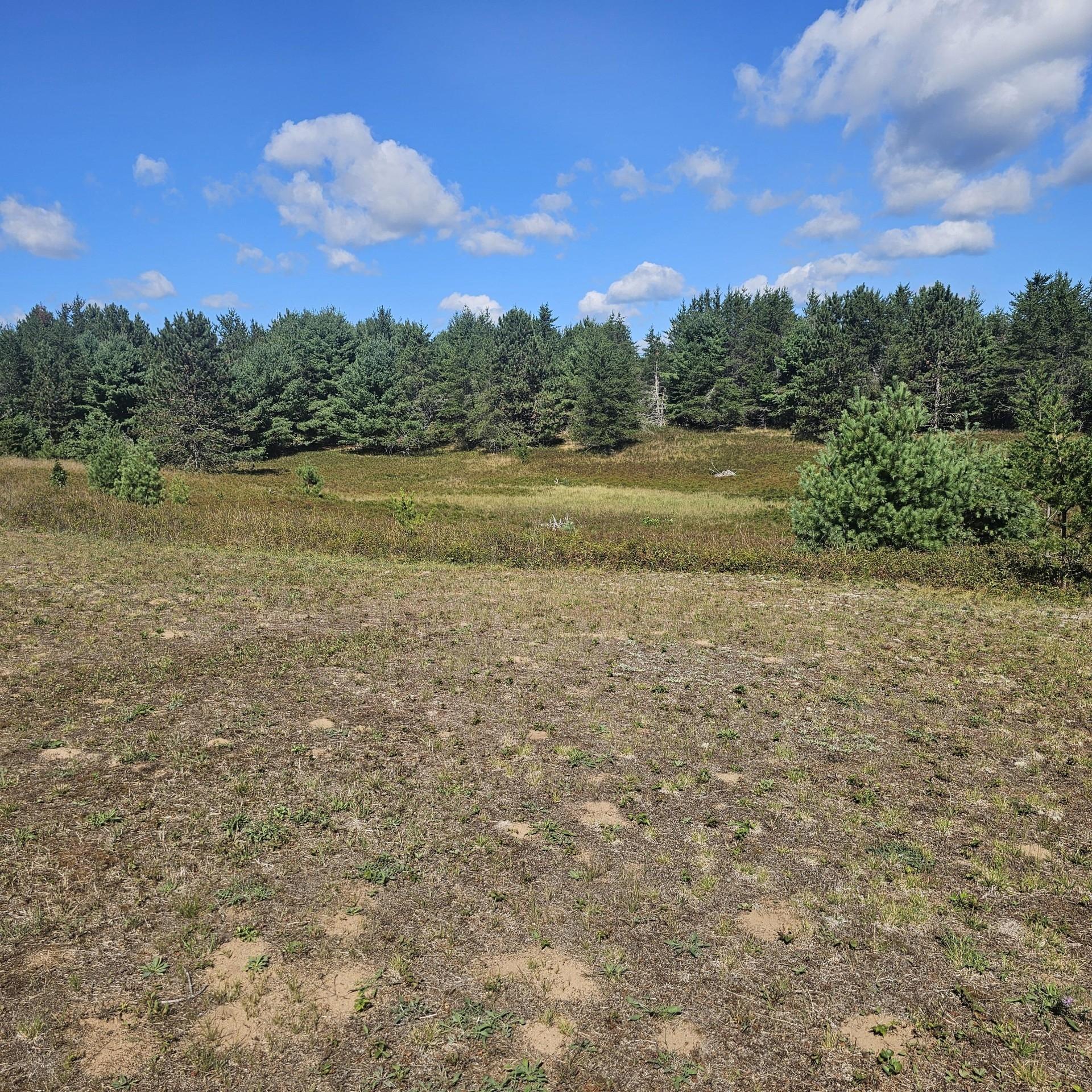 3853 Pine Square Road Tomahawk, WI 54487 - Photo 25 of 26 Gallery Image 25
