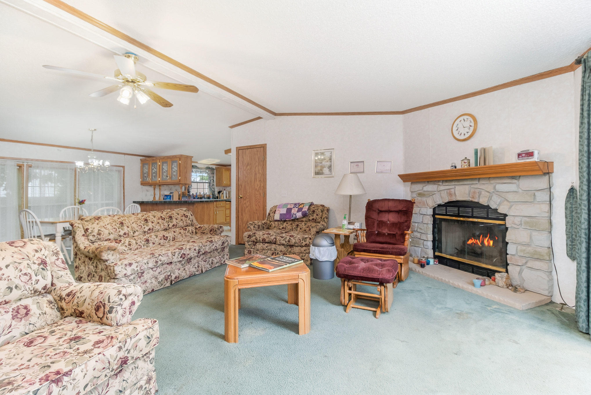 115 North Erie Street Three Rivers, MI 49093 - Photo 5 of 20 DSCF9653