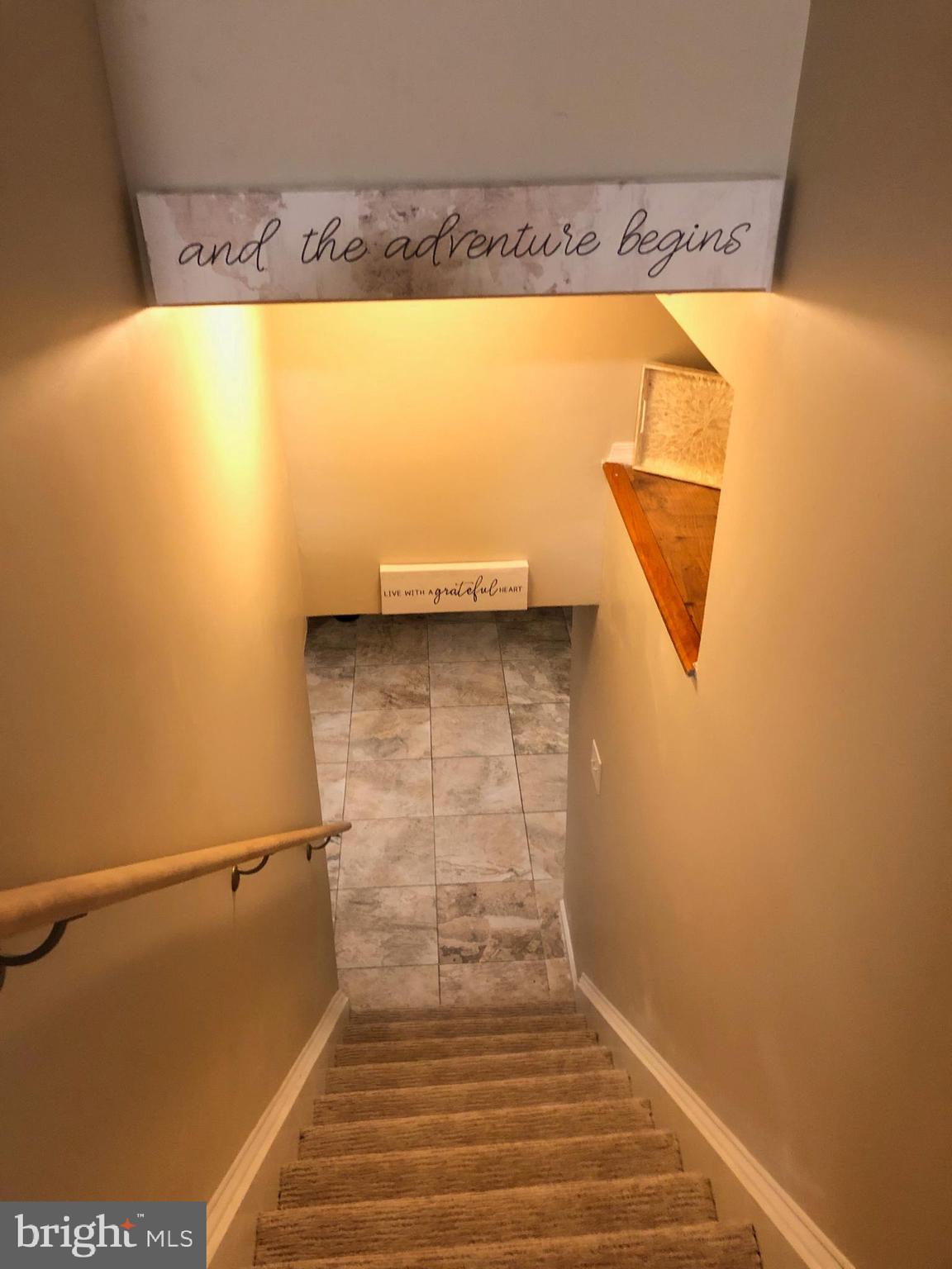 2823 Lindell Street Silver Spring, MD 20902 - Photo 29 of 55 Step to lower level
