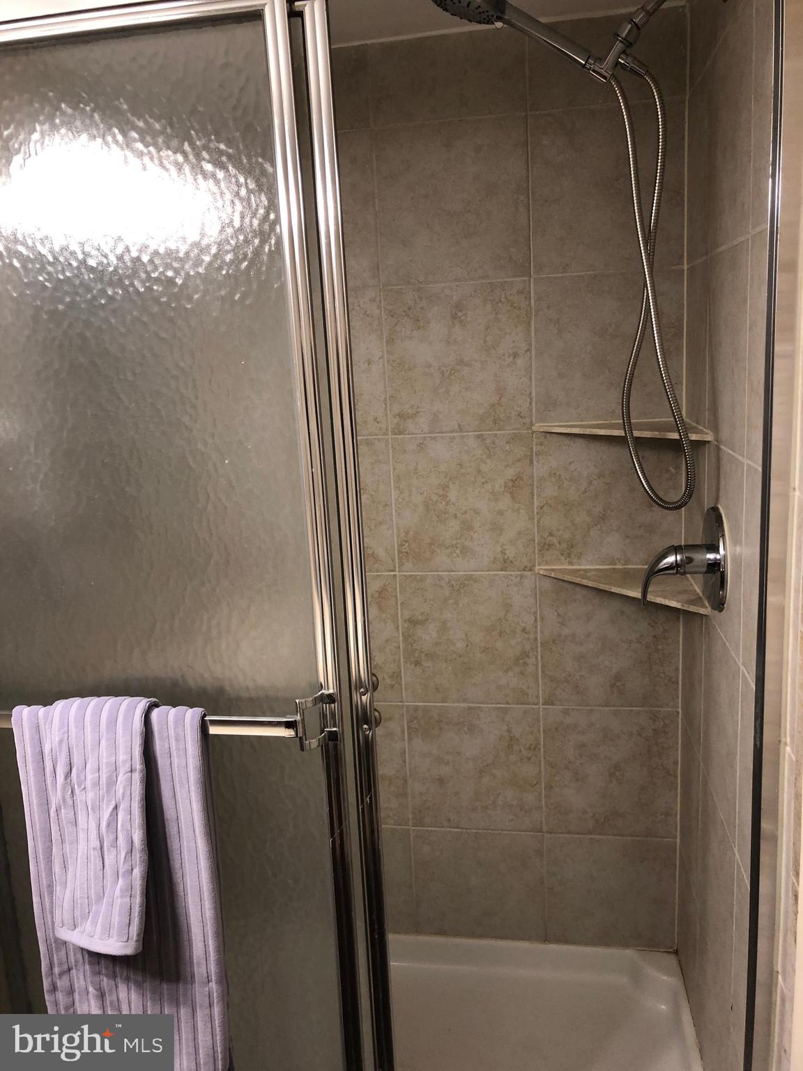 2823 Lindell Street Silver Spring, MD 20902 - Photo 30 of 55 Lower level shower