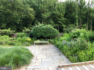 2823 Lindell Street Silver Spring, MD 20902 - Photo 40 of 55 Community / Brookside Gardens