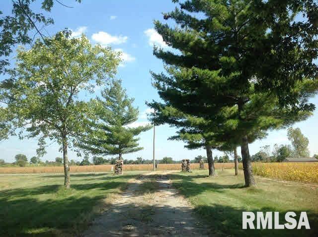 1187 McElvain Road Murphysboro, IL 62966 - Photo 10 of 15 Gallery Image 10