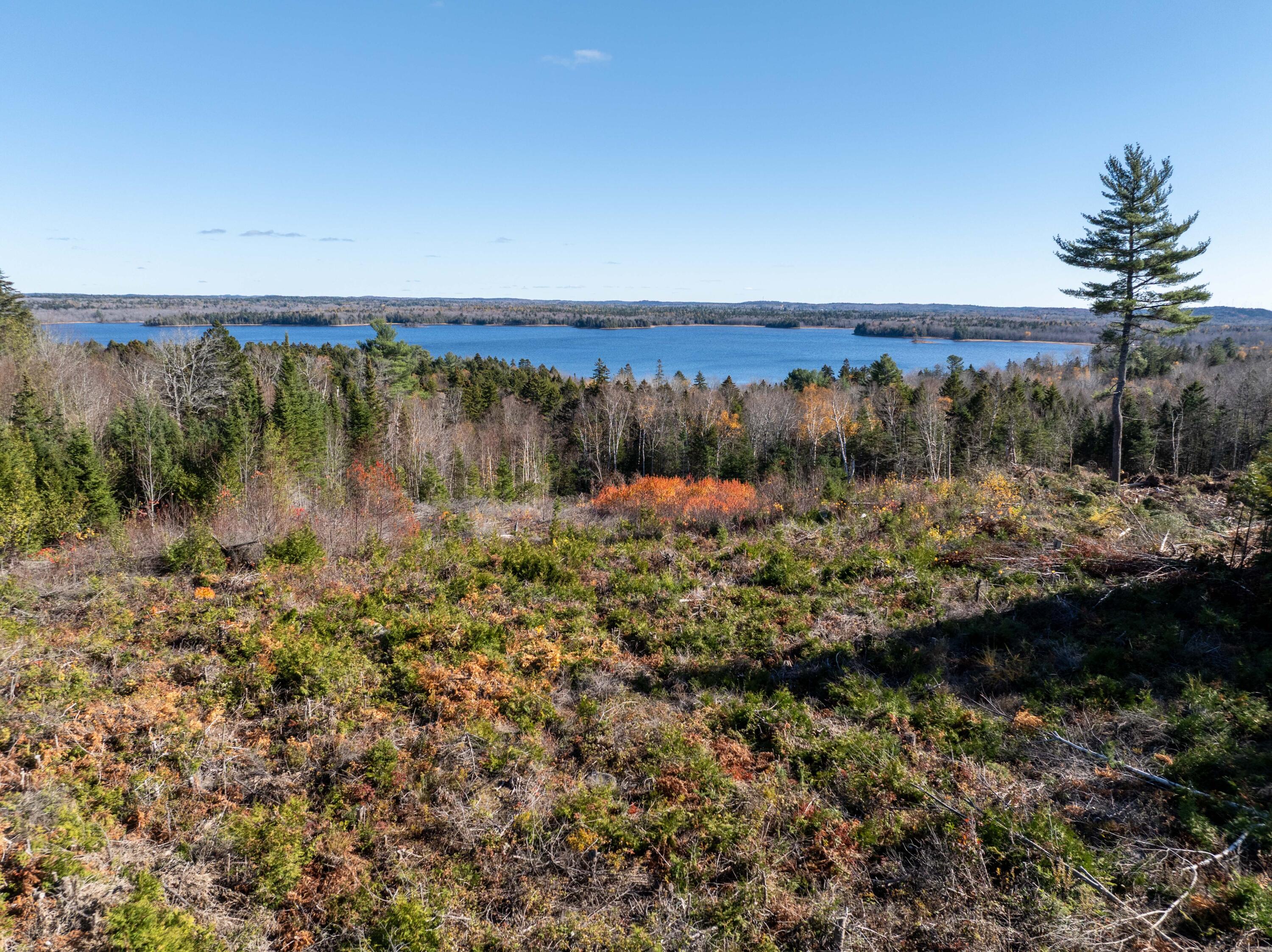 177 Means Cottage Road East Machias, ME 04630 - Photo 8 of 49