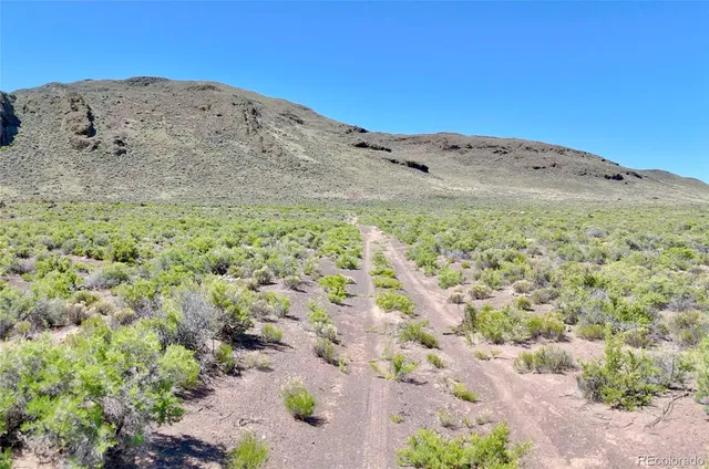 a view of a dry yard