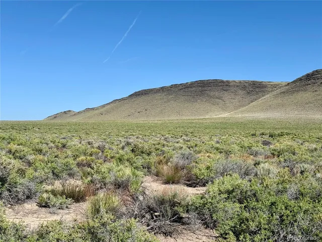 a view of a large trees with a mountain in the background