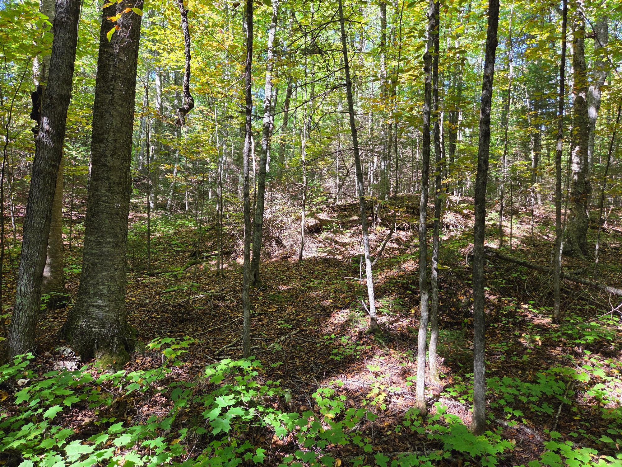 On Moonshine Valley Road, Unit 2AC Presque Isle, WI 54557 - Photo 4 of 7 Gallery Image 4