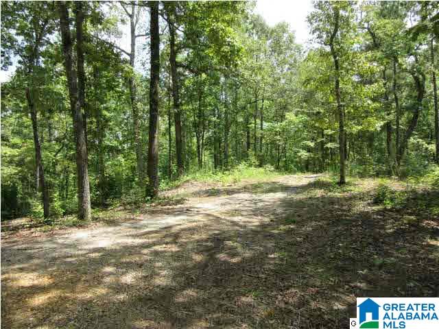 115 County Road 1068, Unit 2 Verbena, AL 36091 - Photo 4 of 12