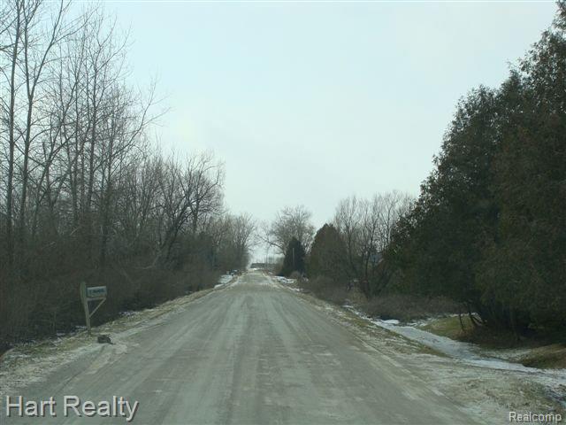 5800 Cade Road Imlay City, MI 48444 - Photo 23 of 23 DSC00832