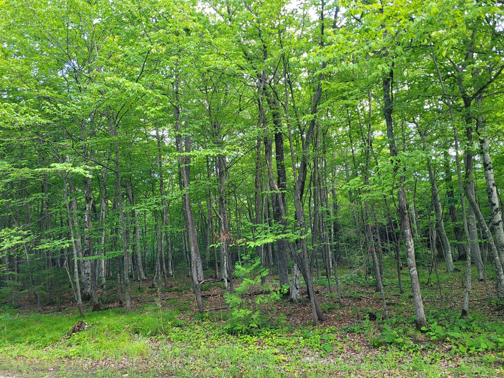 Tbd East Door Blf Road Ellison Bay, WI 54210 - Photo 3 of 5