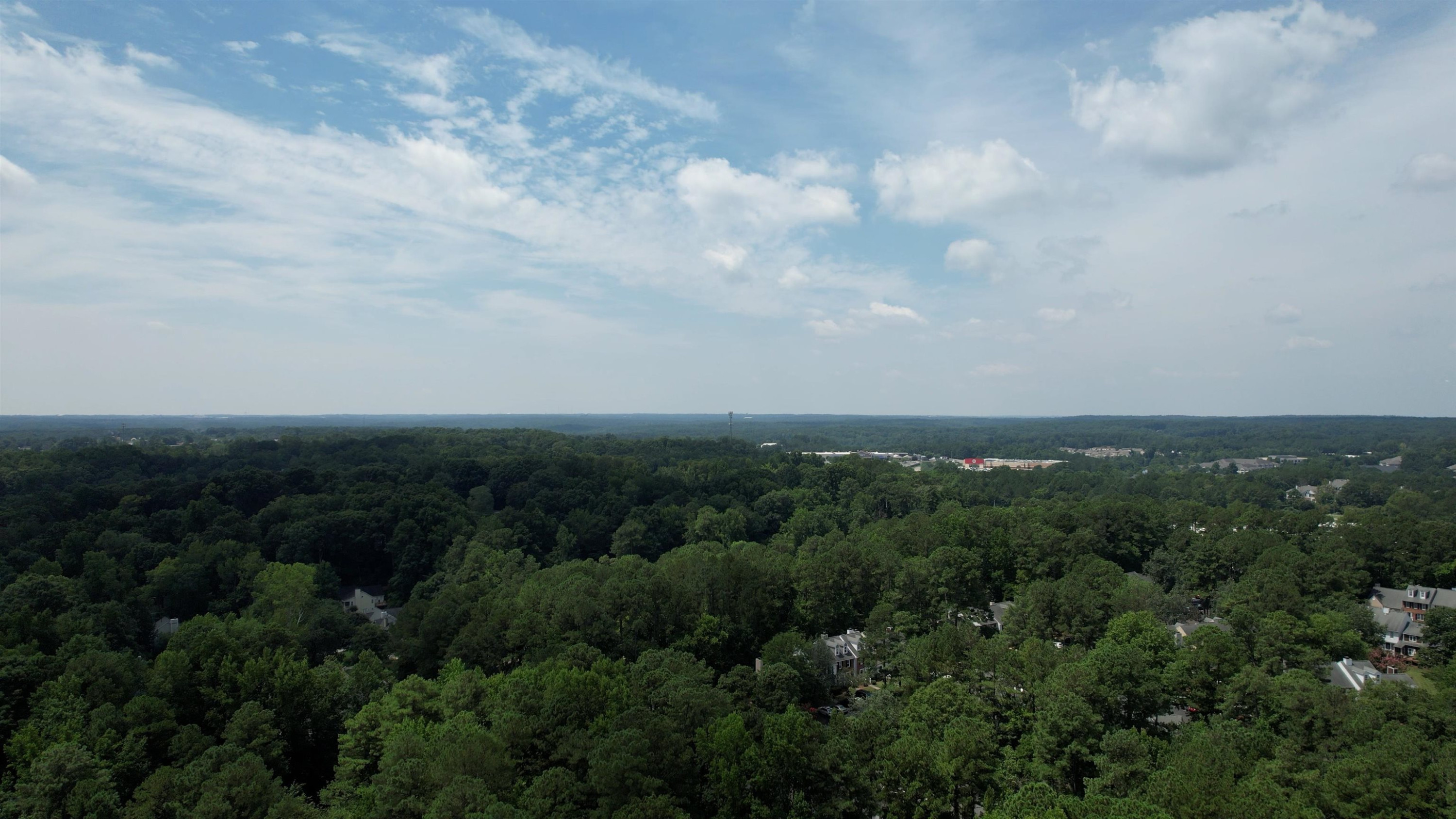 7008 Sandringham Drive Raleigh, NC 27613 - Photo 52 of 52 View From Above