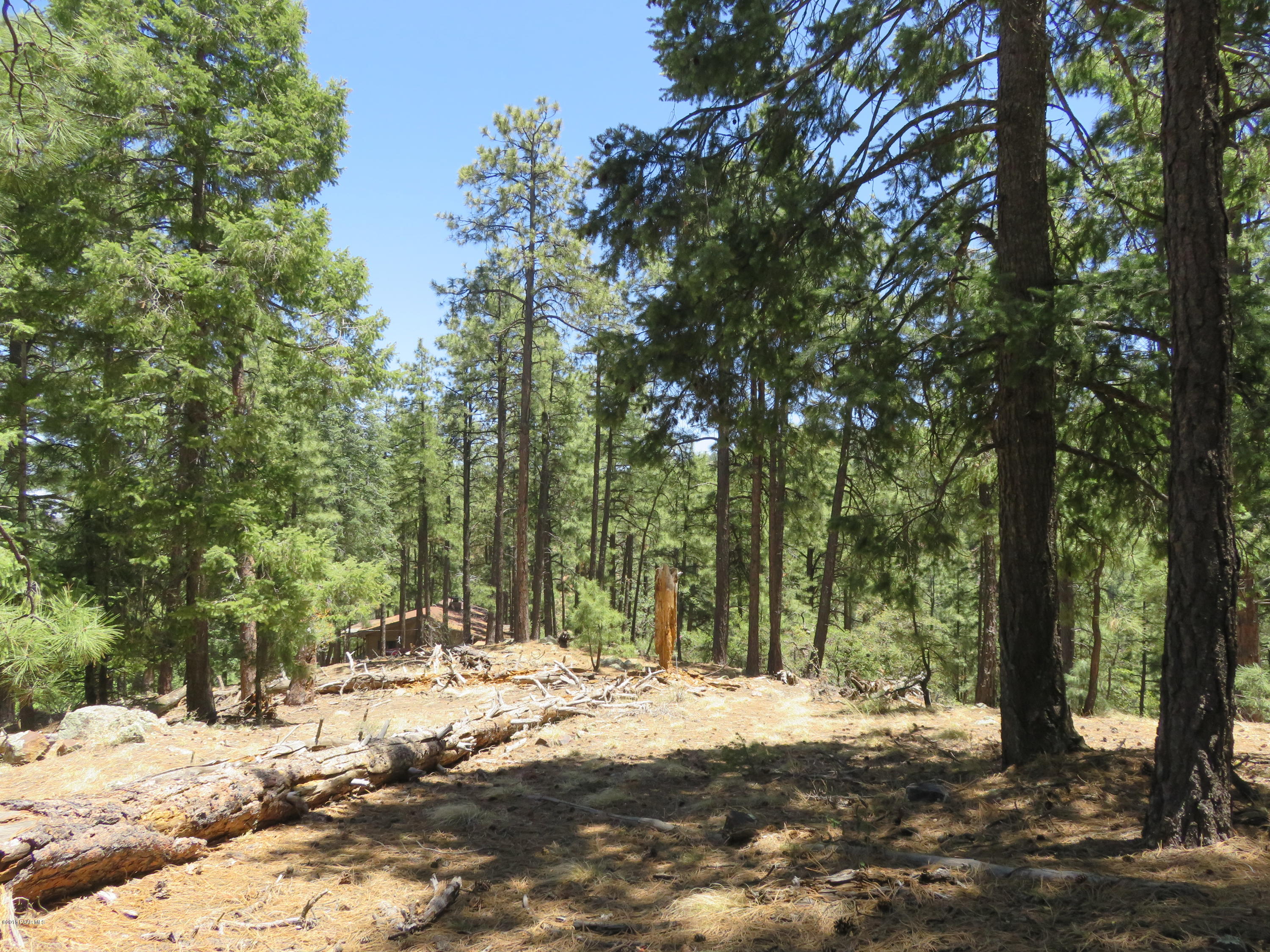 Off East Sheldon Road Prescott, AZ 86303 - Photo 1 of 12 3/4 ac Mountain Property