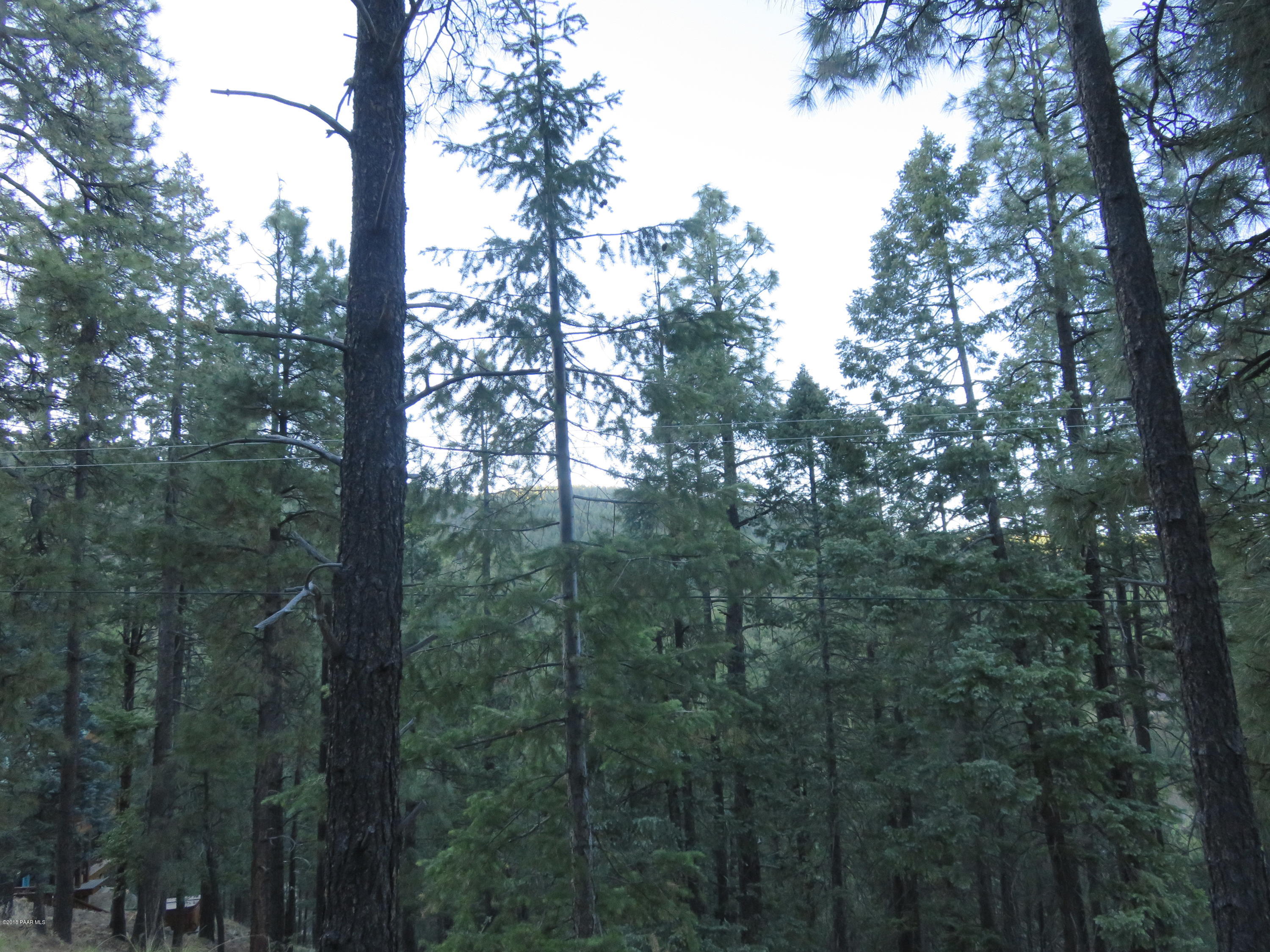 Off East Sheldon Road Prescott, AZ 86303 - Photo 11 of 12 View
