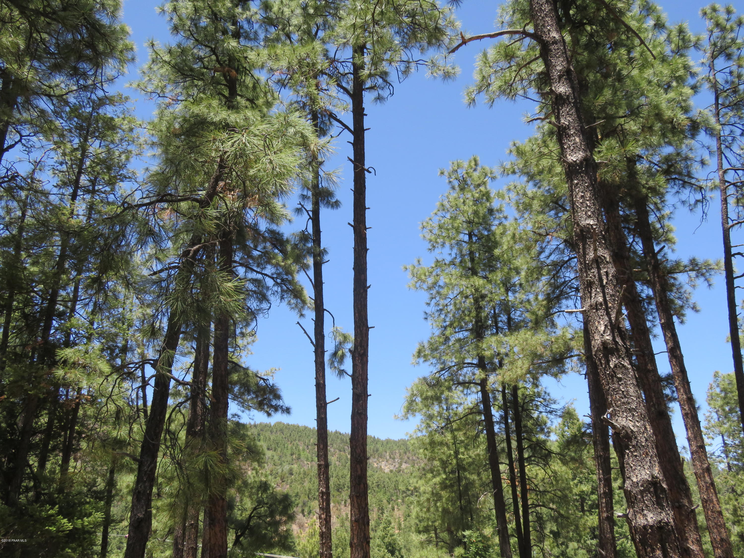 Off East Sheldon Road Prescott, AZ 86303 - Photo 12 of 12 View