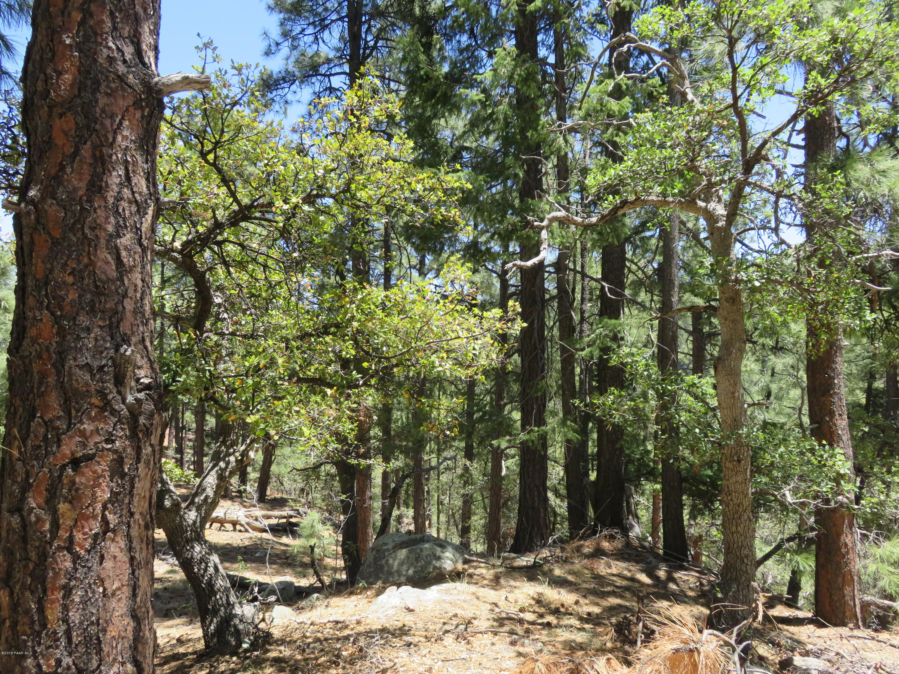 Off East Sheldon Road Prescott, AZ 86303 - Photo 3 of 12 3/4 ac Mountain Property