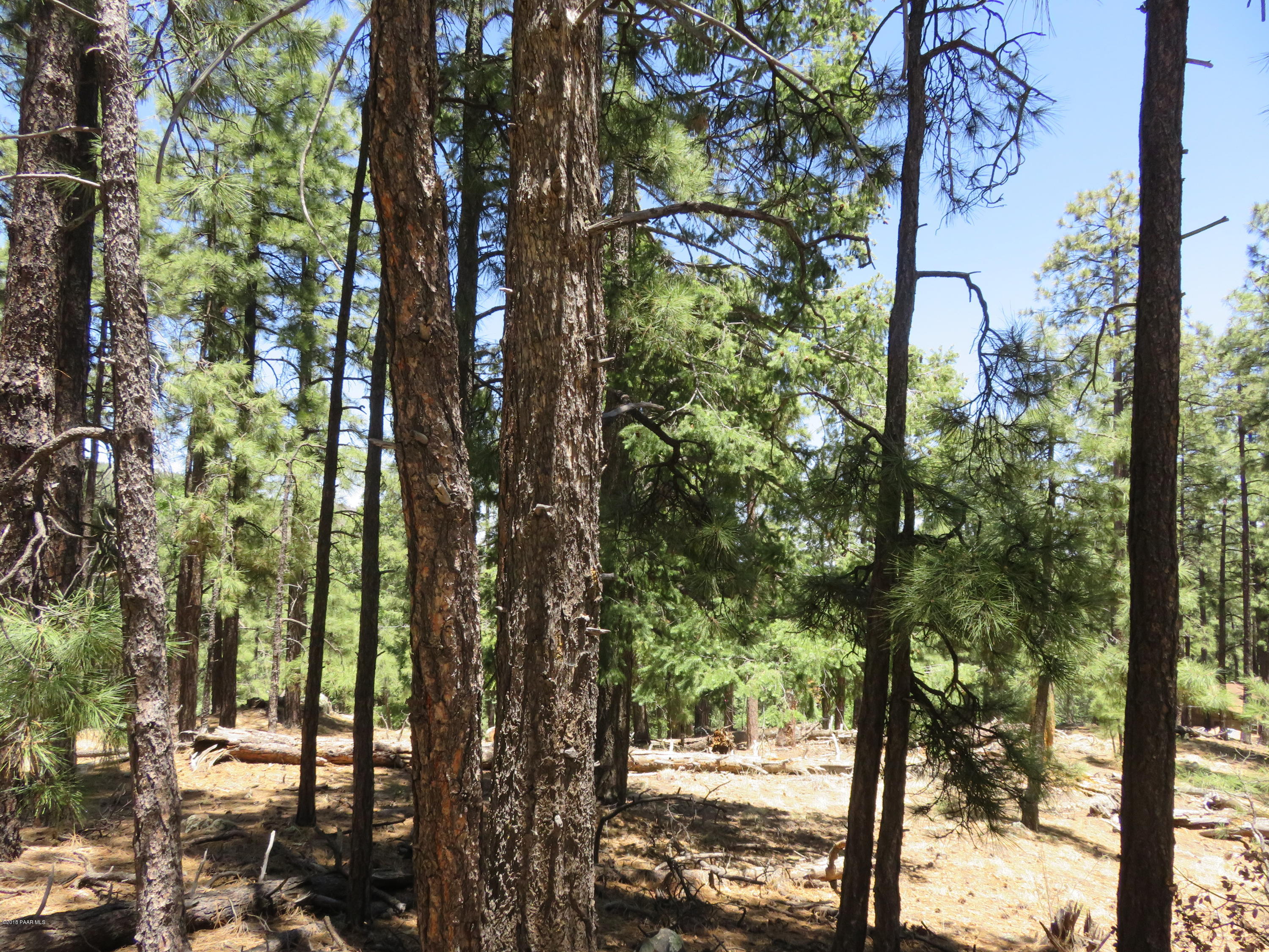 Off East Sheldon Road Prescott, AZ 86303 - Photo 4 of 12 3/4 ac Mountain Property