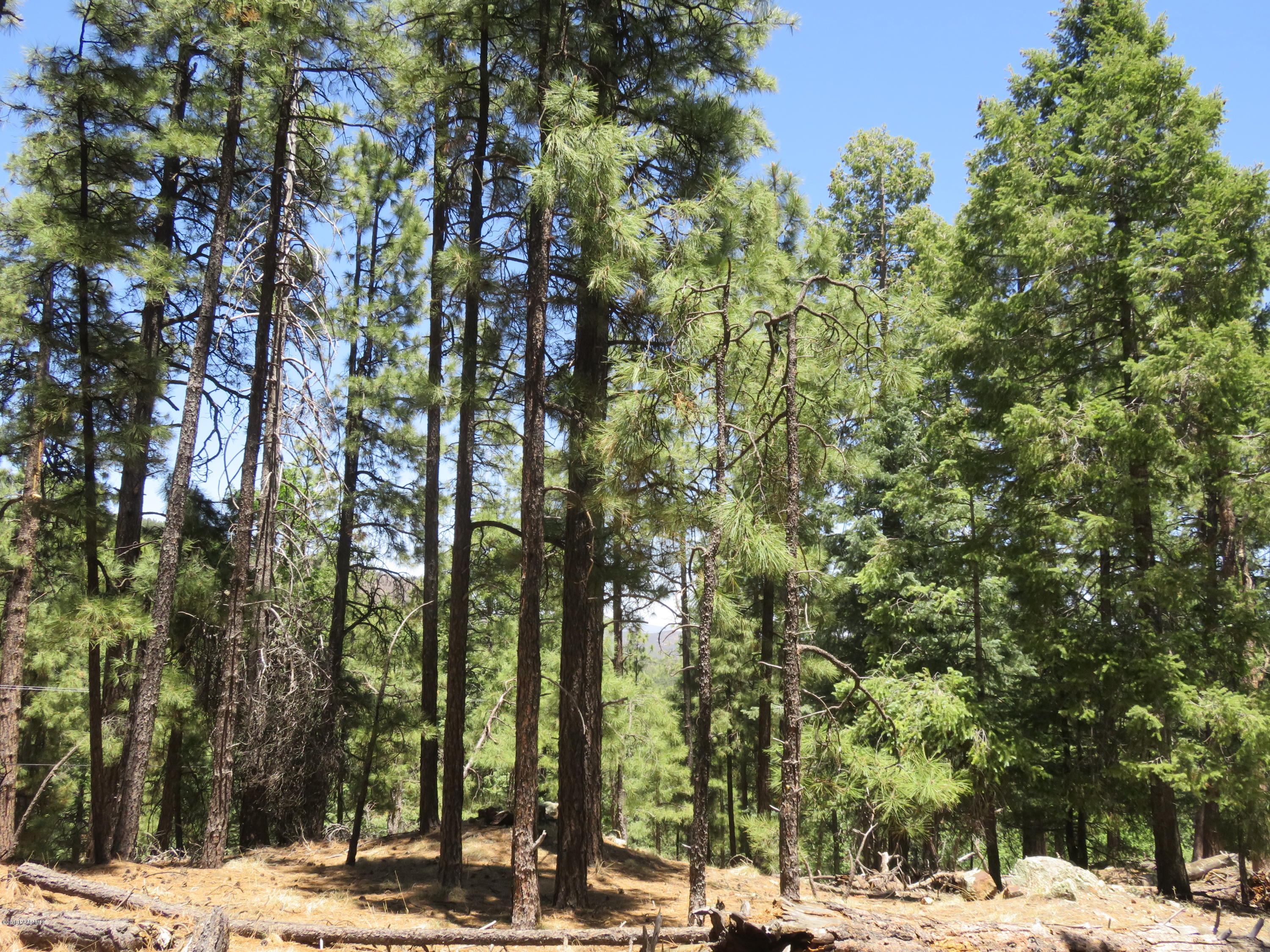 Off East Sheldon Road Prescott, AZ 86303 - Photo 5 of 12 3/4 ac Mountain Property