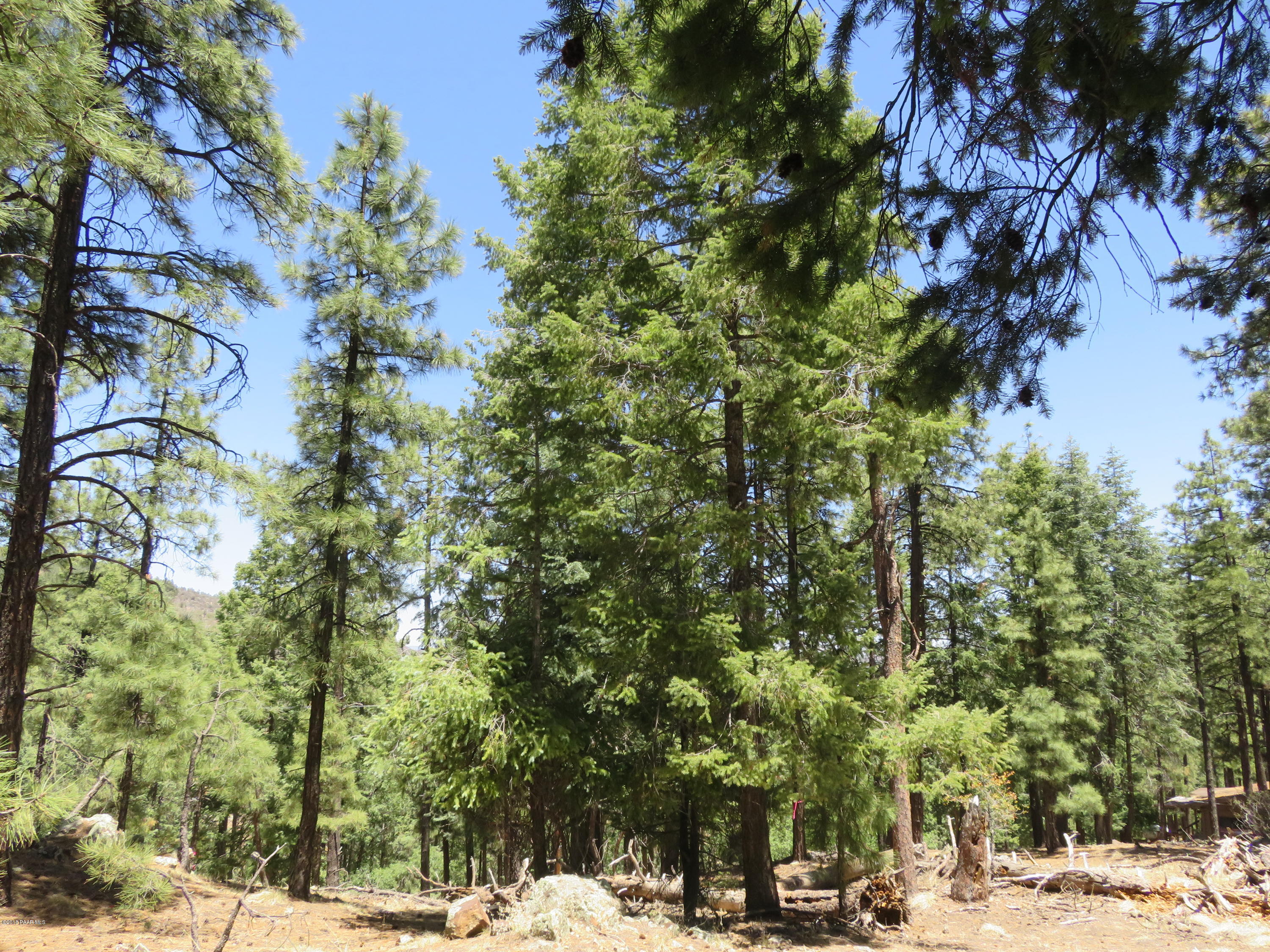 Off East Sheldon Road Prescott, AZ 86303 - Photo 6 of 12 3/4 ac Mountain Property
