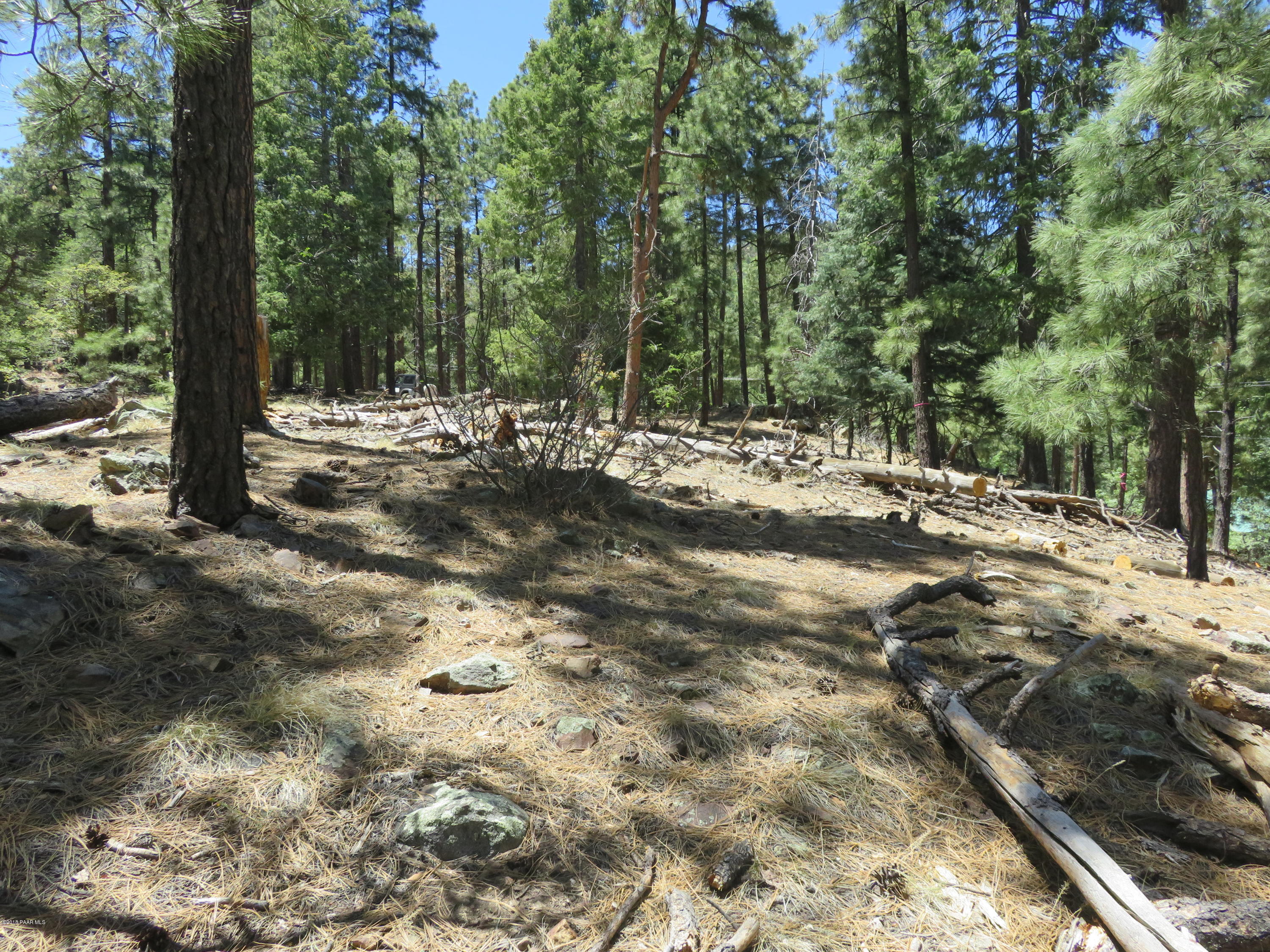 Off East Sheldon Road Prescott, AZ 86303 - Photo 7 of 12 3/4 ac Mountain Property