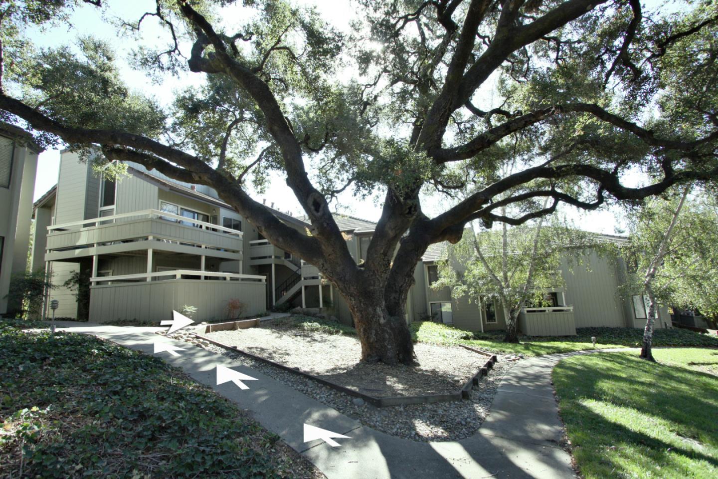 a front view of a house with a yard and a garden