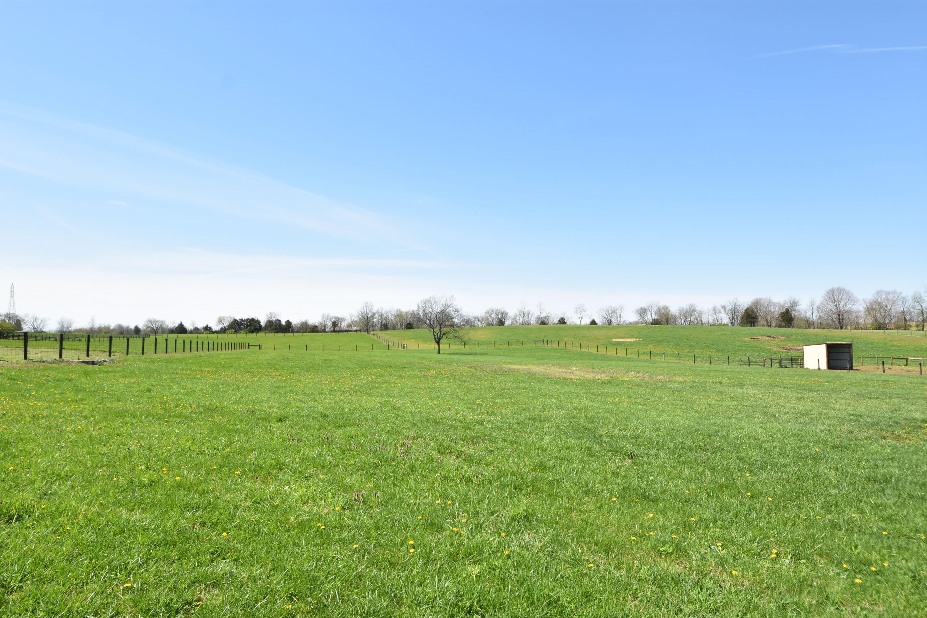 214 Bondville Road Salvisa, KY 40372 - Photo 11 of 13 DSC_0067