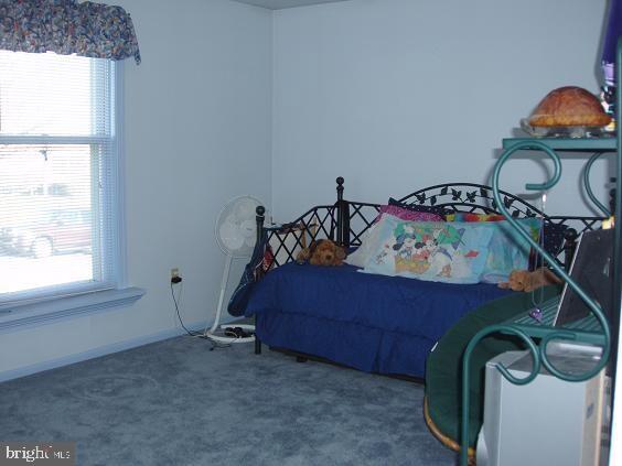 904 Hannah Drive Lititz, PA 17543 - Photo 3 of 20