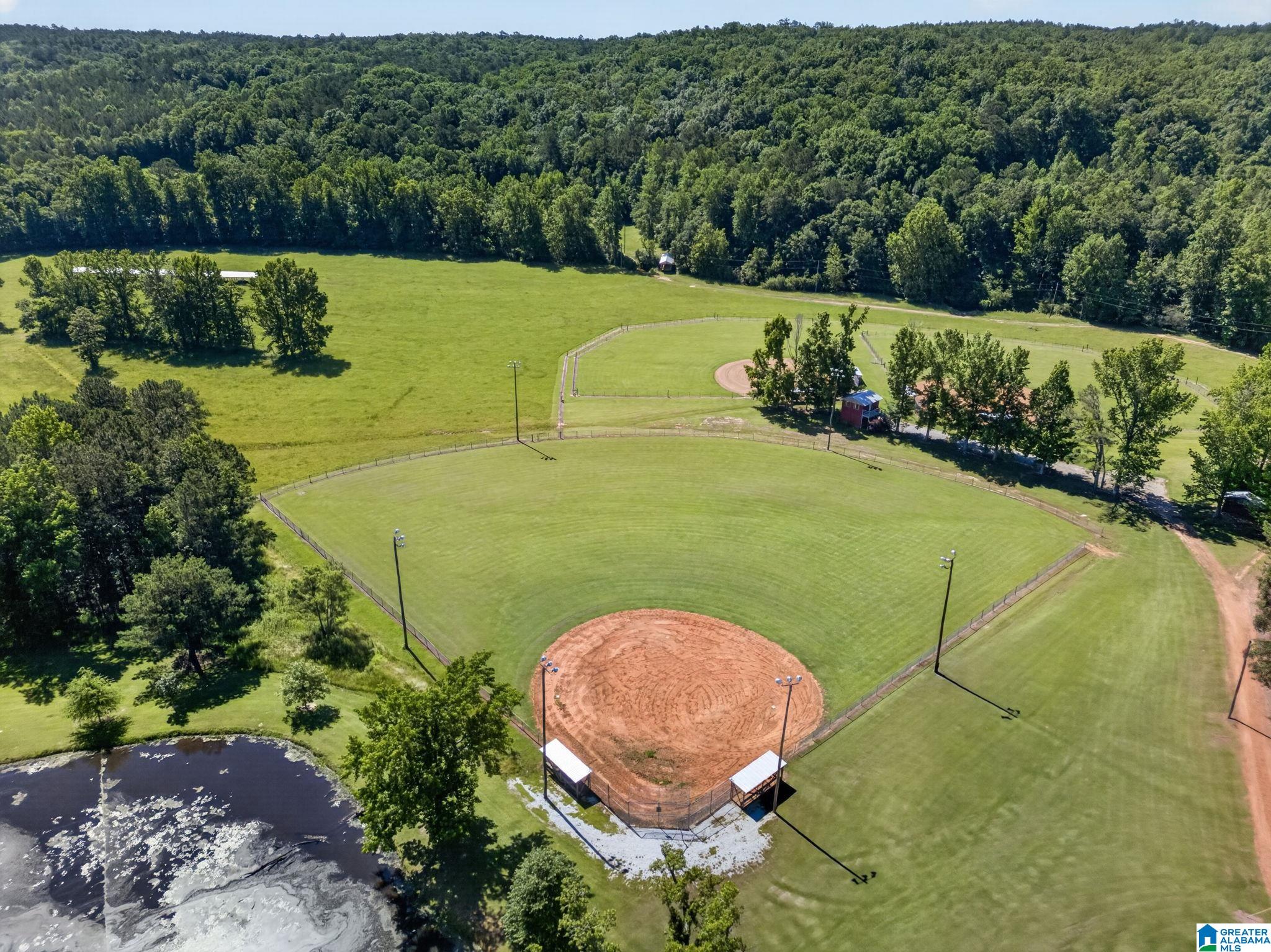 3463 County Road 3 Delta, AL 36258 - Photo 91 of 100