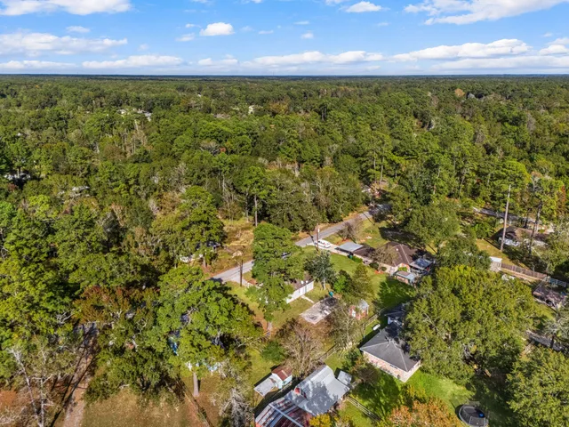 a view of a yard with a tree