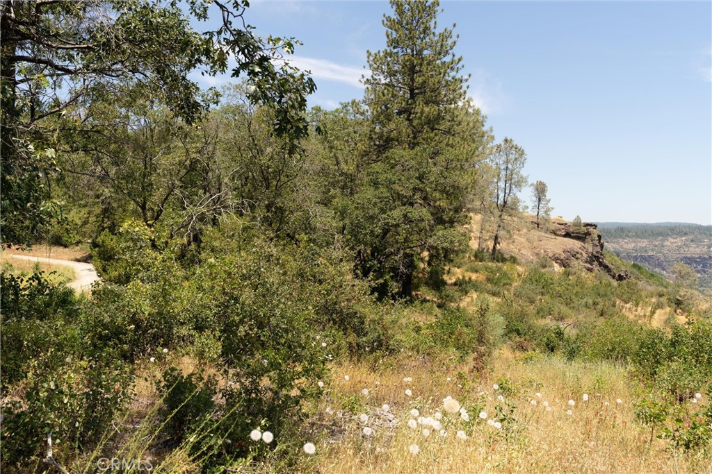 0 Doe Mill Road Forest Ranch, CA 95942 - Photo 11 of 50