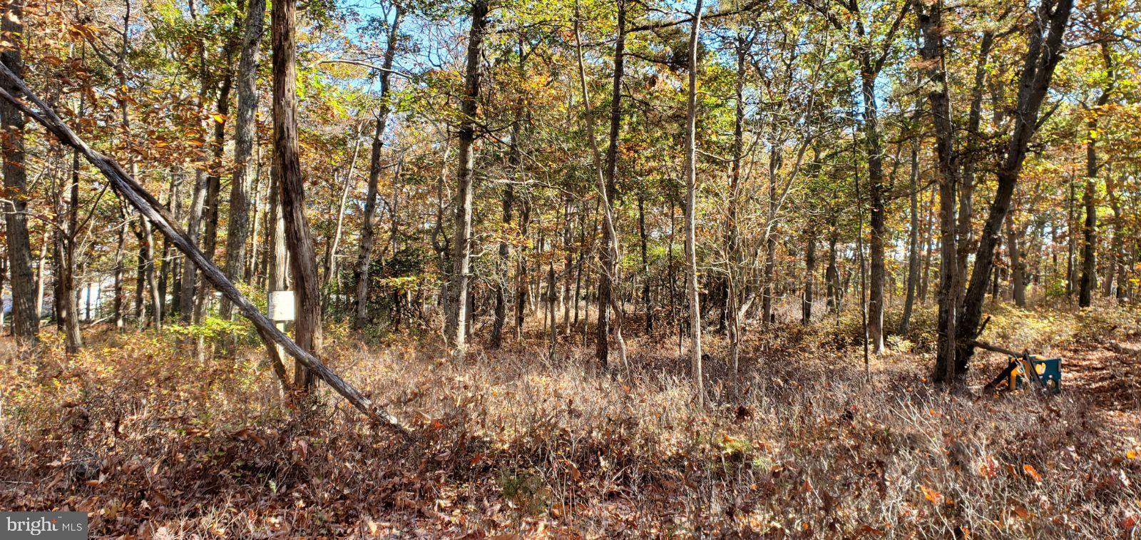 0 Stone Road West Creek, NJ 08092 - Photo 2 of 7