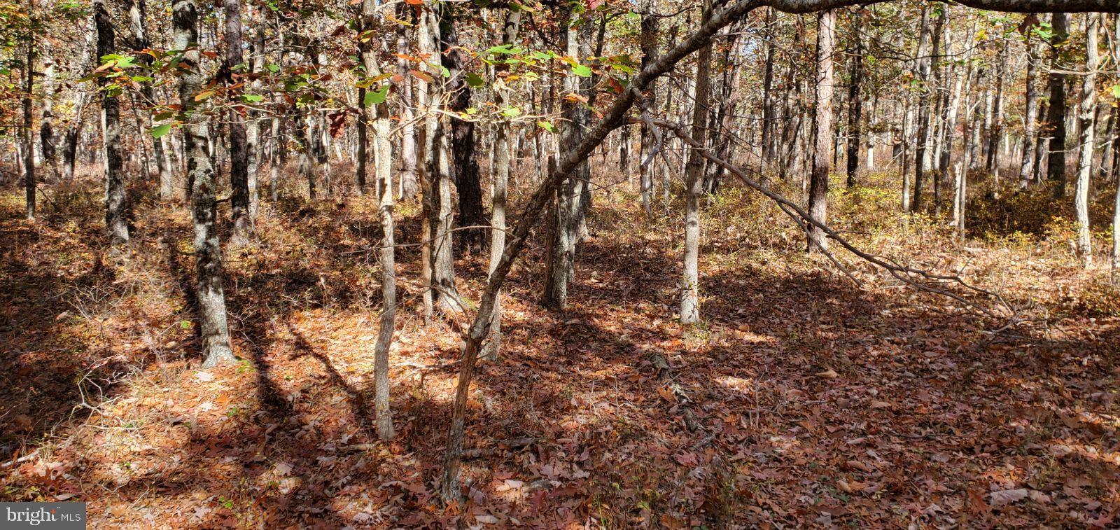 0 Stone Road West Creek, NJ 08092 - Photo 3 of 7