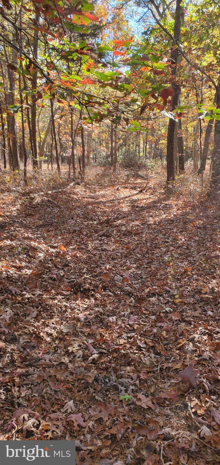 0 Stone Road West Creek, NJ 08092 - Photo 5 of 7