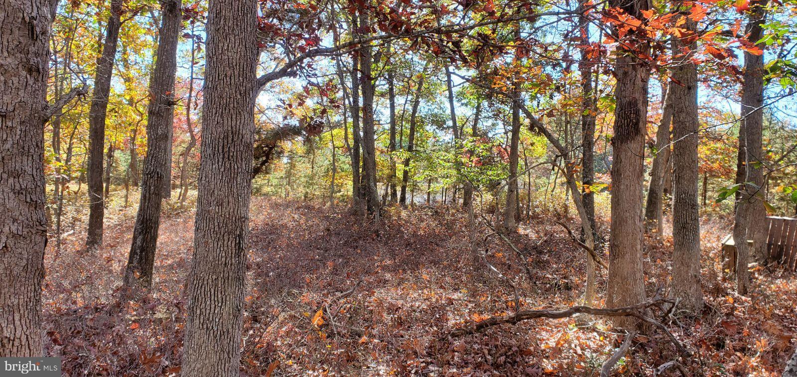 0 Stone Road West Creek, NJ 08092 - Photo 6 of 7