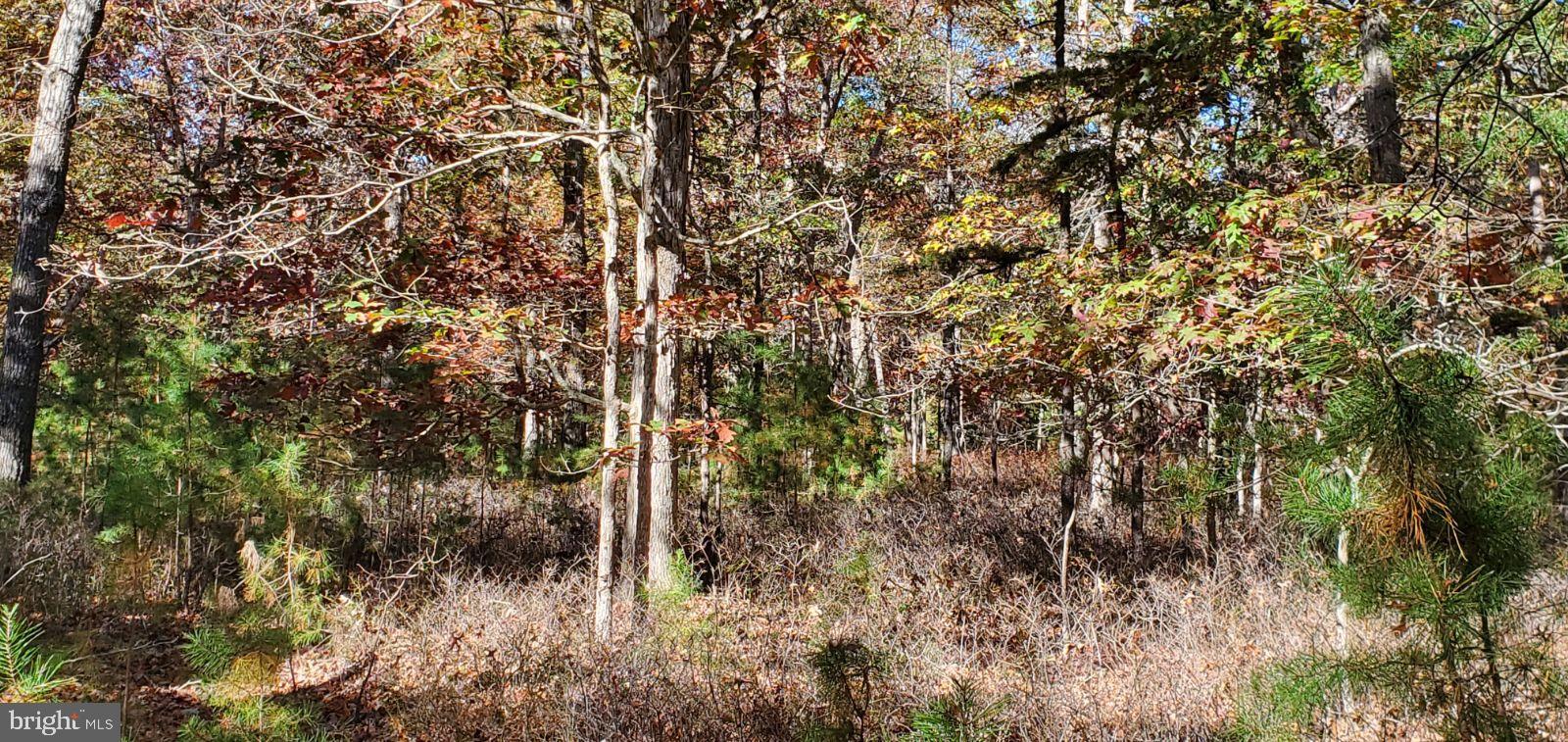 0 Stone Road West Creek, NJ 08092 - Photo 7 of 7