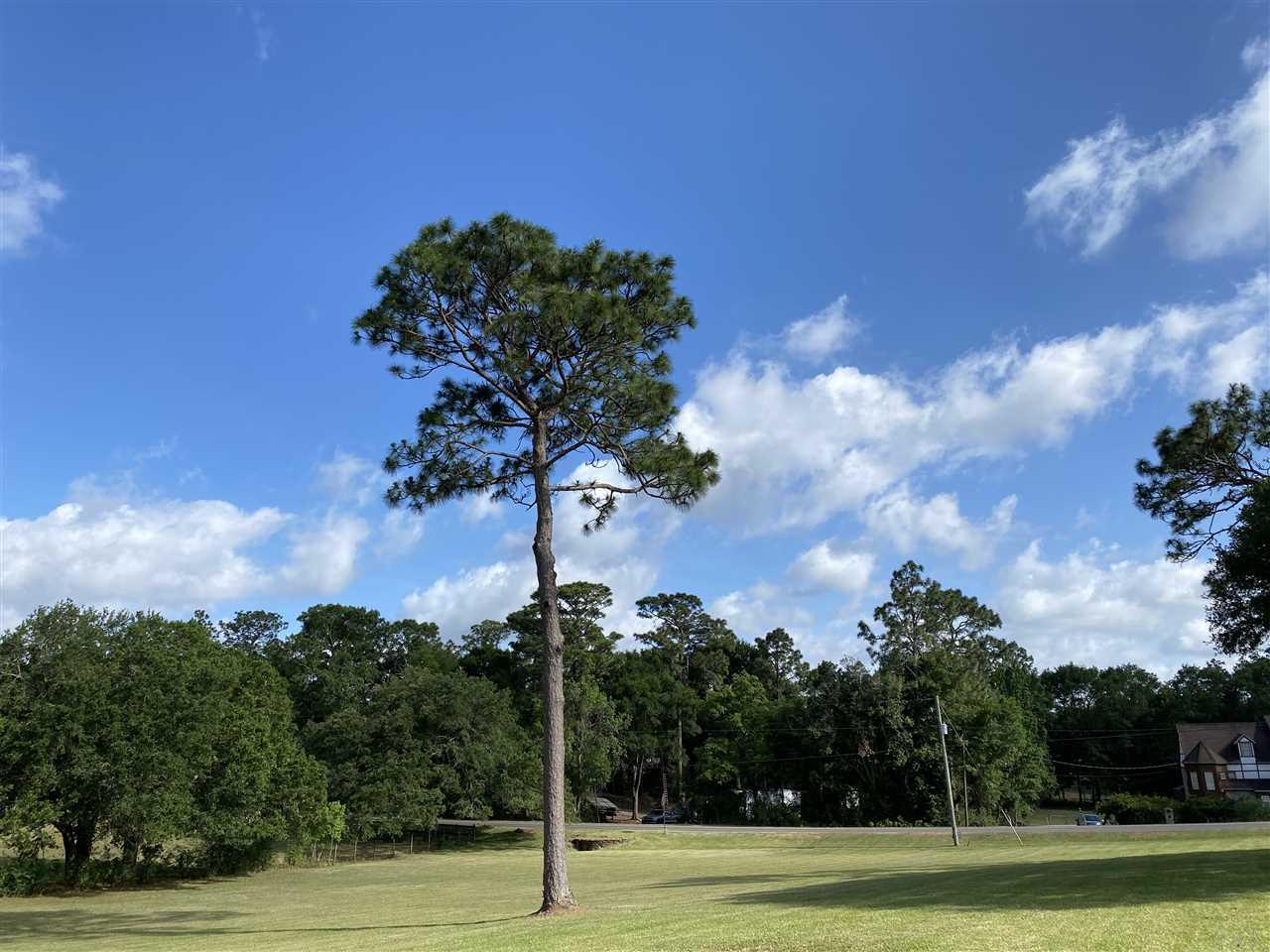 720 Green Hills Road Cantonment, FL 32533 - Photo 5 of 27 Gallery Image 5