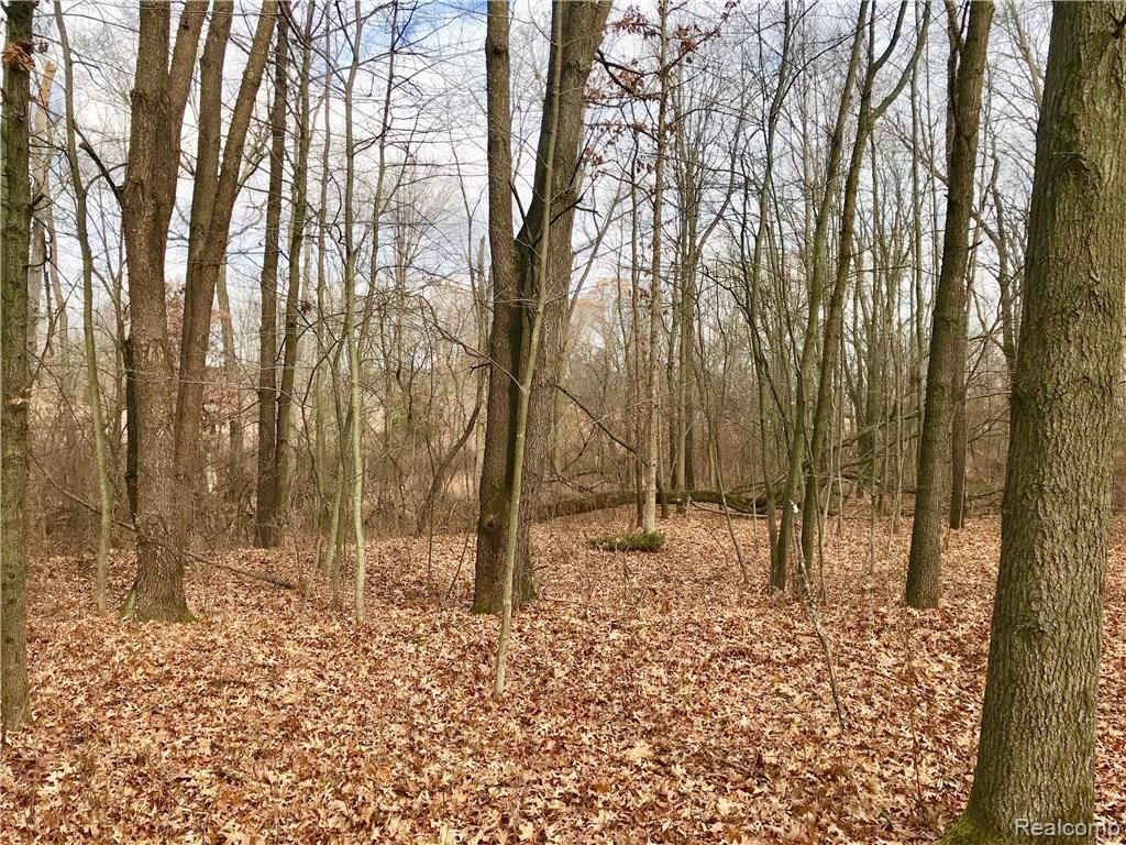 0 Lannen Road Howell, MI 48855 - Photo 17 of 26