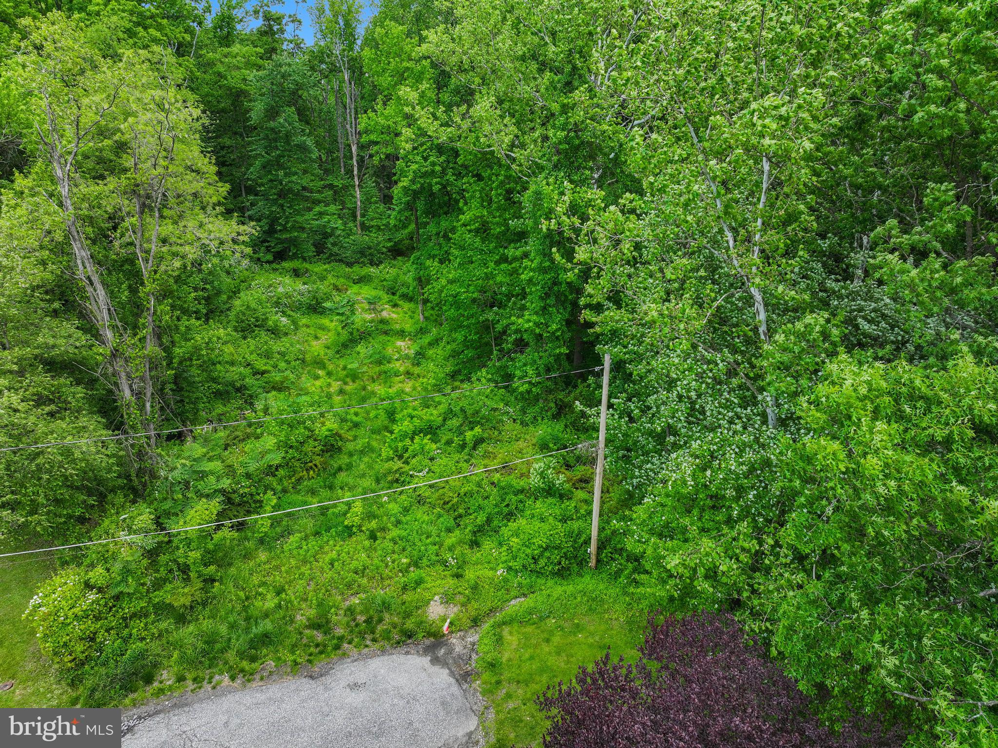 Evan Avenue Aberdeen, MD 21001 - Photo 28 of 74 a view of a lush green forest