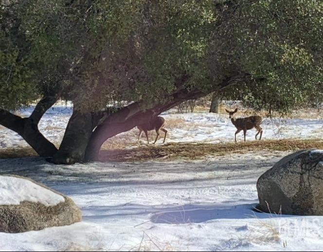 Undisclosed Address Keene, CA 93531 - Photo 41 of 46 a view of a water fountain