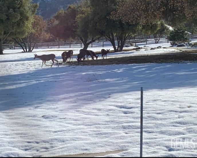 Undisclosed Address Keene, CA 93531 - Photo 42 of 46 a view of outdoor space with garden
