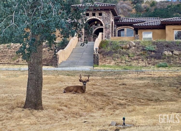 Undisclosed Address Keene, CA 93531 - Photo 44 of 46 a front view of a house with garden