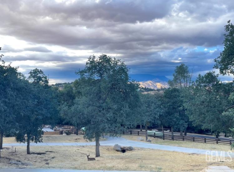 Undisclosed Address Keene, CA 93531 - Photo 45 of 46 a view of a yard